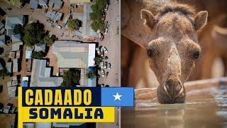 CADAADO, GALMUDUG, SOMALIA