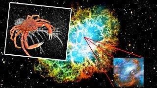 宇宙中最具視覺震撼感的超新星遺跡之一——蟹狀星雲 Beautiful supernova remnant, the crab nebula