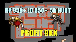 TIBIA RP 950+ ED 850+  5h HUNT Skeleton Elite Warrior  PROFIT 9KK #1