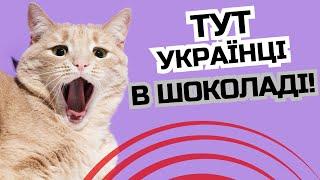 Країни, де в 2024 році кращі умови для українців? / Ільїнойс