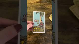 Your Daily Guidance #shorts #tarot  #tarotcardreading #dailyguidance #brahmalokatarot