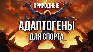 ПРИРОДНЫЕ АДАПТОГЕНЫ в бодибилдинге и спорте!