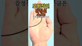 가정에 충실한손금!모범적인 감정선손금 #손금