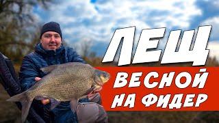 ТРОФЕЙНЫЙ ЛЕЩ На Фидер ВЕСНОЙ! Фидерная Рыбалка НА РЕКЕ!