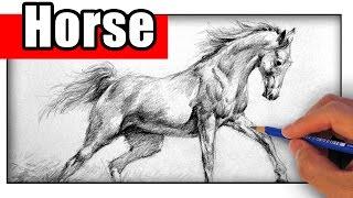 How to Draw a Horse with Pencil