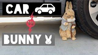 Crushing Crunchy and Soft Things by Car ASMR - Car vs Bunny!