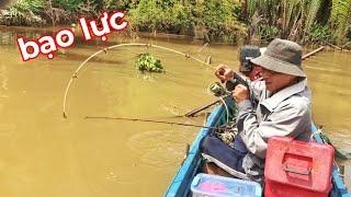 Câu Cá Sông -  Một Ngày Đi Săn Lùng Loài Cá Sông Có Thịt Siêu Ngon | săn bắt ba vát |