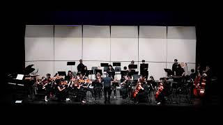 Skyline HS - Spring Concert  -  004 Orchestra