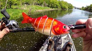 Goldfish Lure Fishing For A River BEAST!