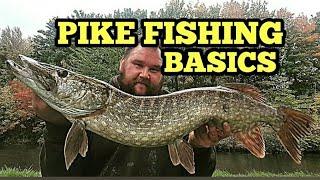 PIKE FISHING FOR BEGINNERS - FLOAT LEDGER STEP BY STEP, BAITS, ROD, REELS AND PIKE ACTION