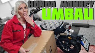 Honda Monkey Umbau