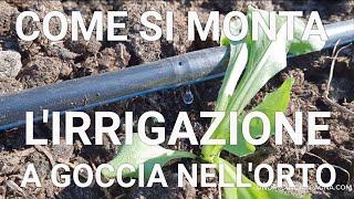 DRIP IRRIGATION for the vegetable garden. Simple, fast and effective assembly guide!