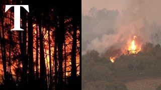 Portugal wildfires: more than 1,000 firefighters are tackling blazes