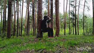 Константин Марков  Цигун