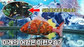 미래의 물생활 로봇물고기와 3D물고기가 대신한다! 심지어 유전자변형까지?...[TV생물도감]