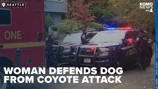 Seattle woman injured while defending her pet dog from coyote attack