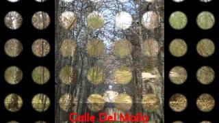 TOLEDO-LA GRANJA- SEGOVIA Marta 5ºB.wmv