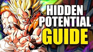 THE ULTIMATE DOKKAN HIDDEN POTENTIAL GUIDE, HOW TO FARM ORBS AND MORE! | DBZ: Dokkan Battle