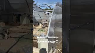 Укрытие теплицы поликарбонатом видео 2 #теплица #поликарбонат #теплицаоцинкованная #теплицаарочная