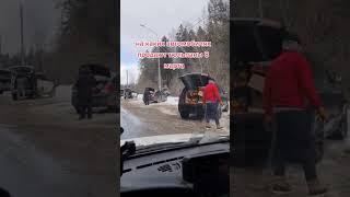 На каких авто продают тюльпаны