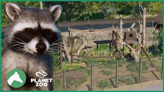 Raccoon Habitat | Elm Hill City Zoo | Planet Zoo