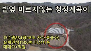 (1054) 가뭄에도 마르지 않는 맑은 계곡이 있는 과수원. 면적854평(실제면적1,500평이상 사용)보전관리지역.매매가1억원/경북 상주시 모동면 덕곡리