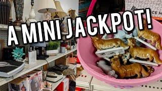 A MINI VINTAGE JACKPOT! | GOODWILL THRIFT WITH ME
