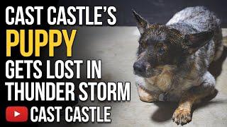 Cast Castle's Puppy Dog Gets Lost In A Thunderstorm & Opening Fan Mail