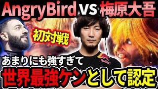 Daigo plays AngryBird for the first time: "This is the strongest Ken"【Daigo Umehara】【clip】