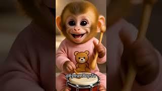 Cute monkey