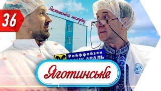 Предпринимательство в Украине, молочный бизнес, мотивация на успех, бег и свое дело