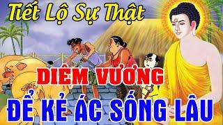 Nhân Quả Báo Ứng 2024 Hay,Tiết Lộ Sự Thật DIÊM VƯƠNG Để KẺ ÁC SỐNG LÂU...Làm Ác Đọa Địa Ngục