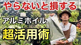 【目からウロコ】今日から使えるアルミホイルの超活用法教えます　　　【カーメン君】【園芸】【ガーデニング】【初心者】