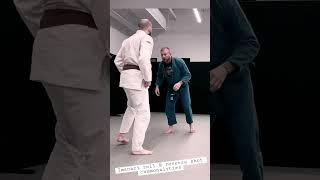 Commonalities Between The Imanari Roll and Reverse Shot