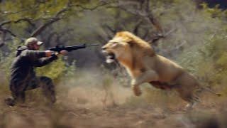 Why You Should NEVER Go Lion Hunting...