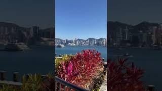 香港 M+ 天台花園外望維港 完美的天際線 Perfect skyline of Victoria Harbour from M+ roof garden Hong Kong