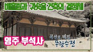 곡선의 비밀 부석사 무량수전 / 배흘림과 귀솟음 기법으로 고려중기 건축된 국보 제18호 [역사실험] KBS