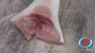 Oceans Fleet Fisheries - Scallops, swordfish, lobster, tuna, halibut and more...