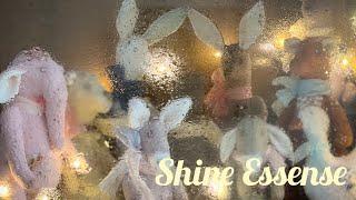 Обзор коллекции Shine Essense