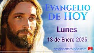 Evangelio de HOY. Lunes 13 de enero 2025 Mc 1,14-20 haré de ustedes pescadores de hombres.