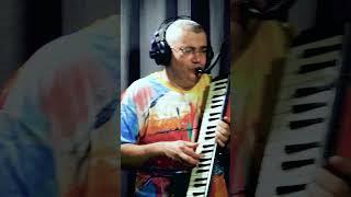 Lullaby Of Birdland  Jazz Suzuki Hammond Melodion Cover #quick #short