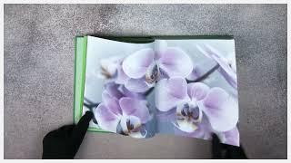 Orchids: Floramour series by teNeues Books