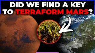 Eyeball Exoplanet // Smelly Find by JWST // Plant to Terraform Mars