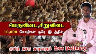 10000  கோழிகள் ஒரே இடத்தில் , தமிழ்நாடு முழுவதும் டெலிவரி #poultryfarm #nattukoli