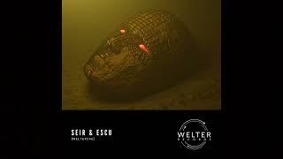 Seir & Escu - Common Sins [WELTER246]