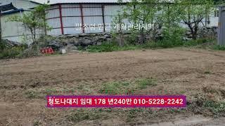 청도부동산 나대지 임대 178㎡ 년240만 매매가능 계획관리지역 다용도부지 야적장 야적창고 천막적지