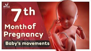 7th Month Pregnancy  Baby Development | 7th Month Pregnancy Baby Growth | Mylo Family