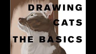 Animal Life Drawing | The Cat Part One