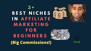 Best Niches In Affiliate Marketing For Beginners (Big Commissions!)