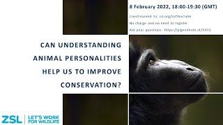 Can understanding animal personalities help us to improve conservation?